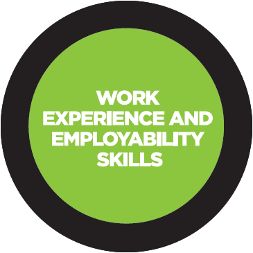 work experience and employability skills